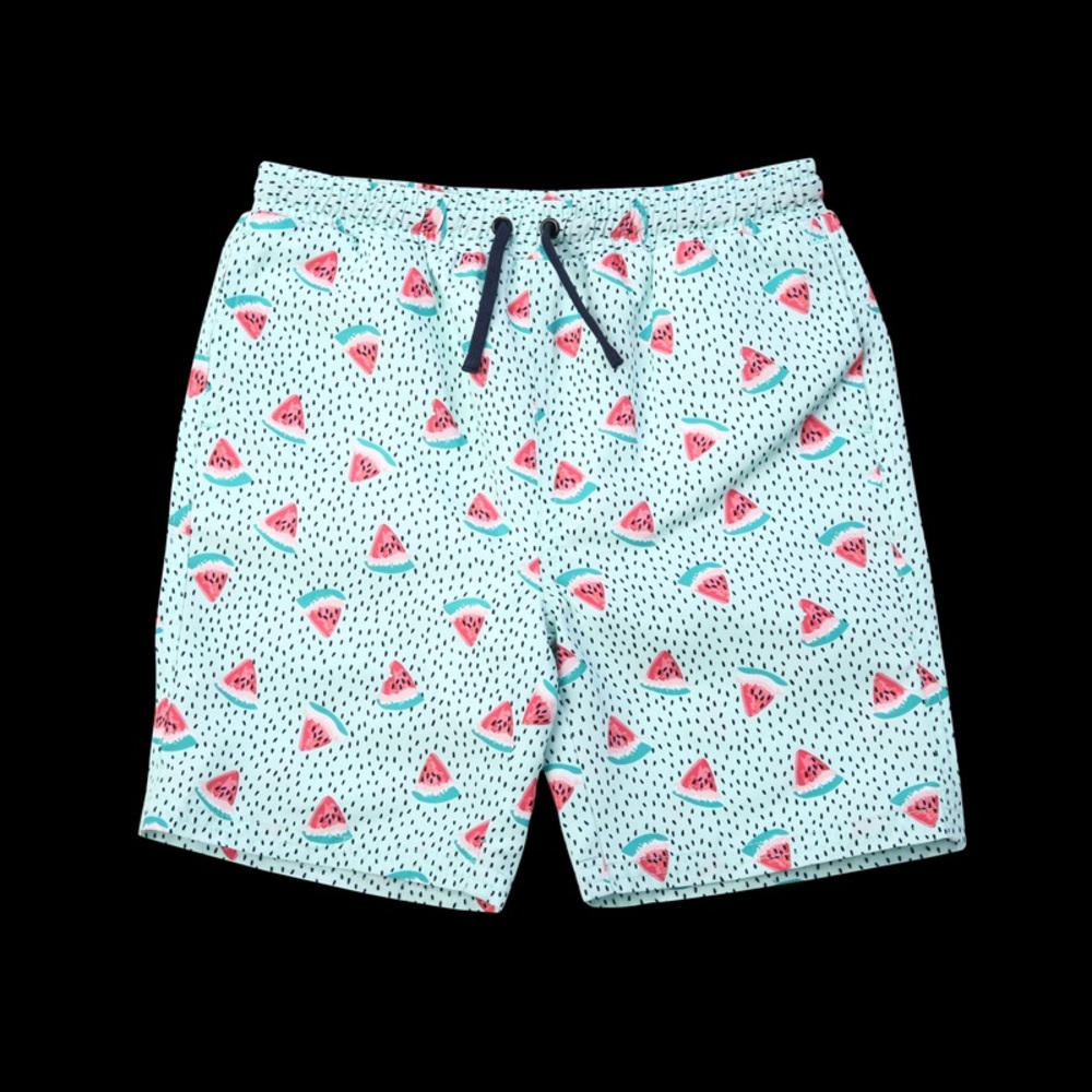 Egg by Susan Lazar Drake Watermelon Swim Trunk NWT